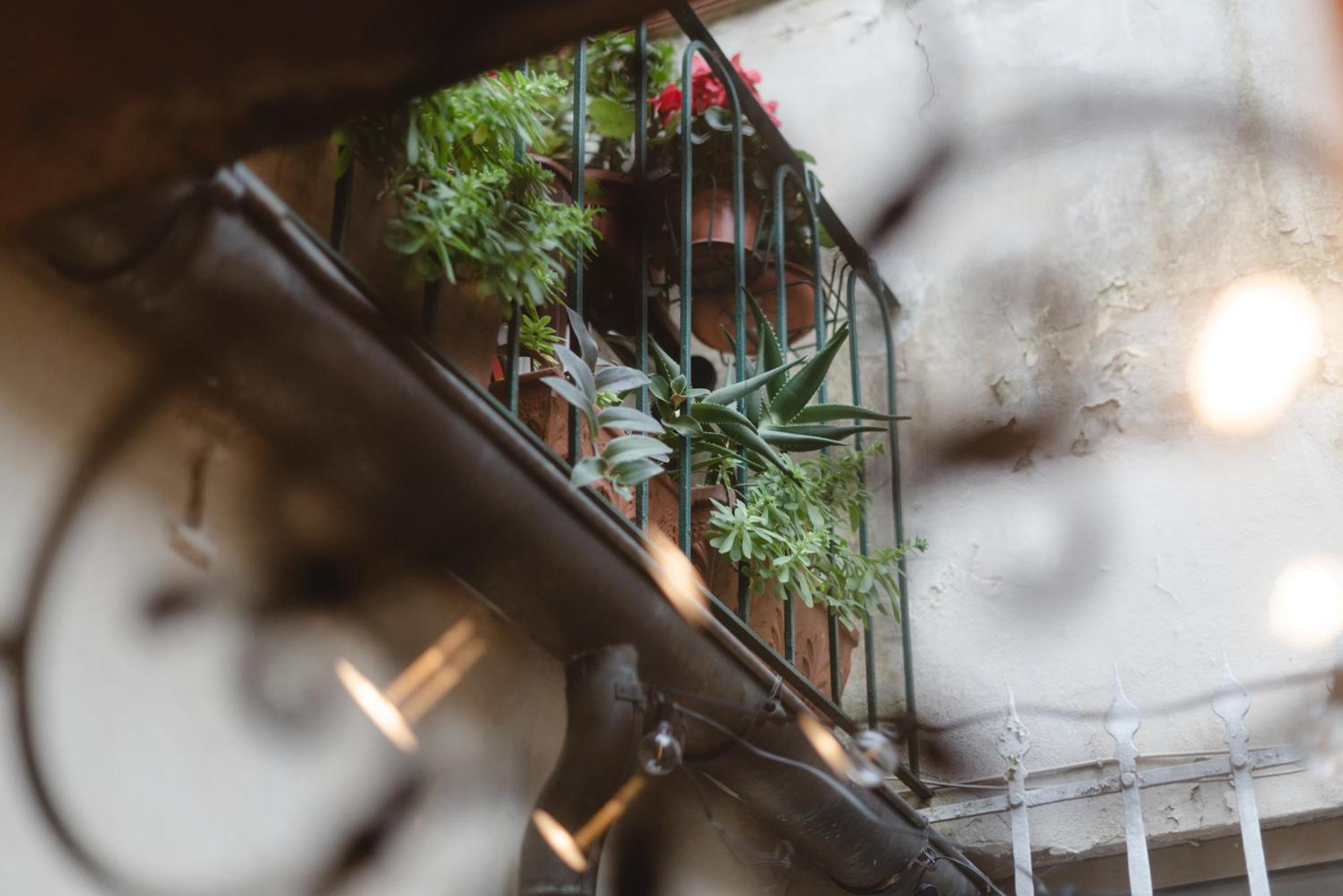 Charming In The Heart Of Santo Spirito Apartamento Florencia